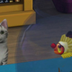 Image for article titled Why Video Game Cats Might Throw Up